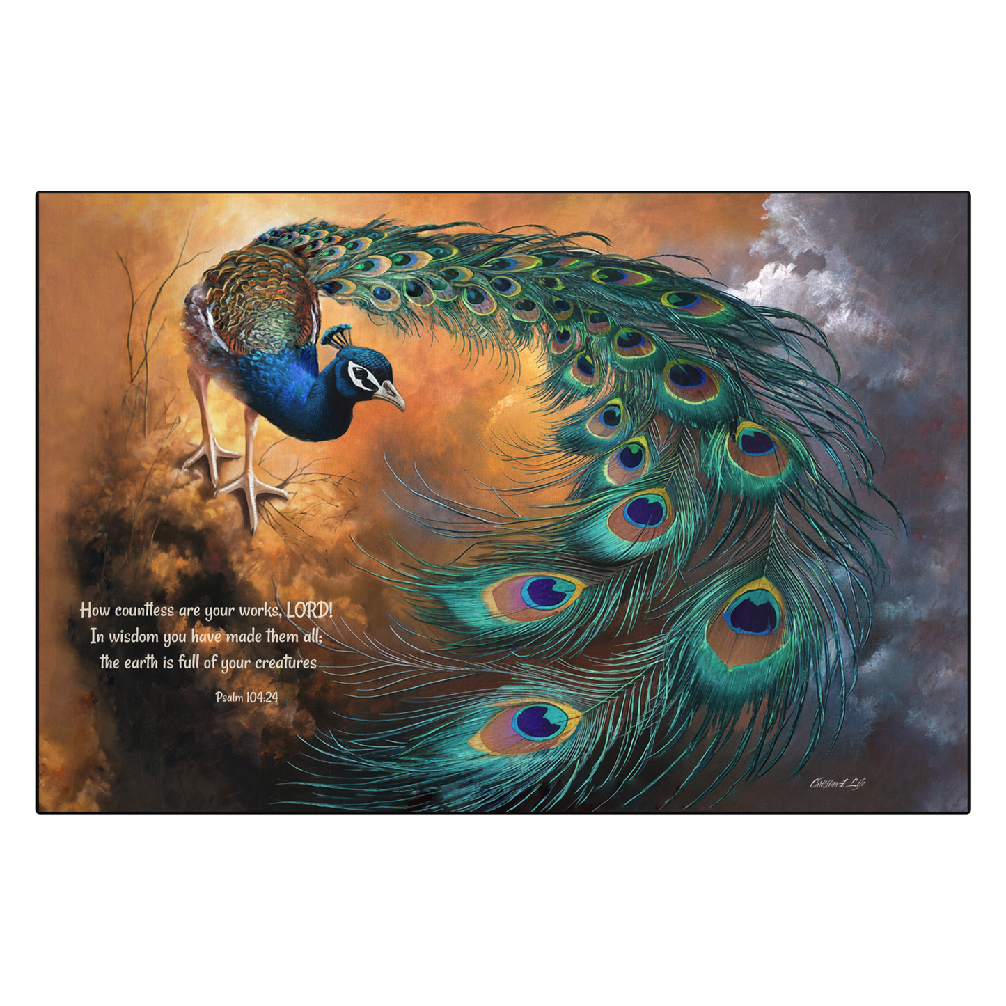 Peacock with open tail feathers on a background with text