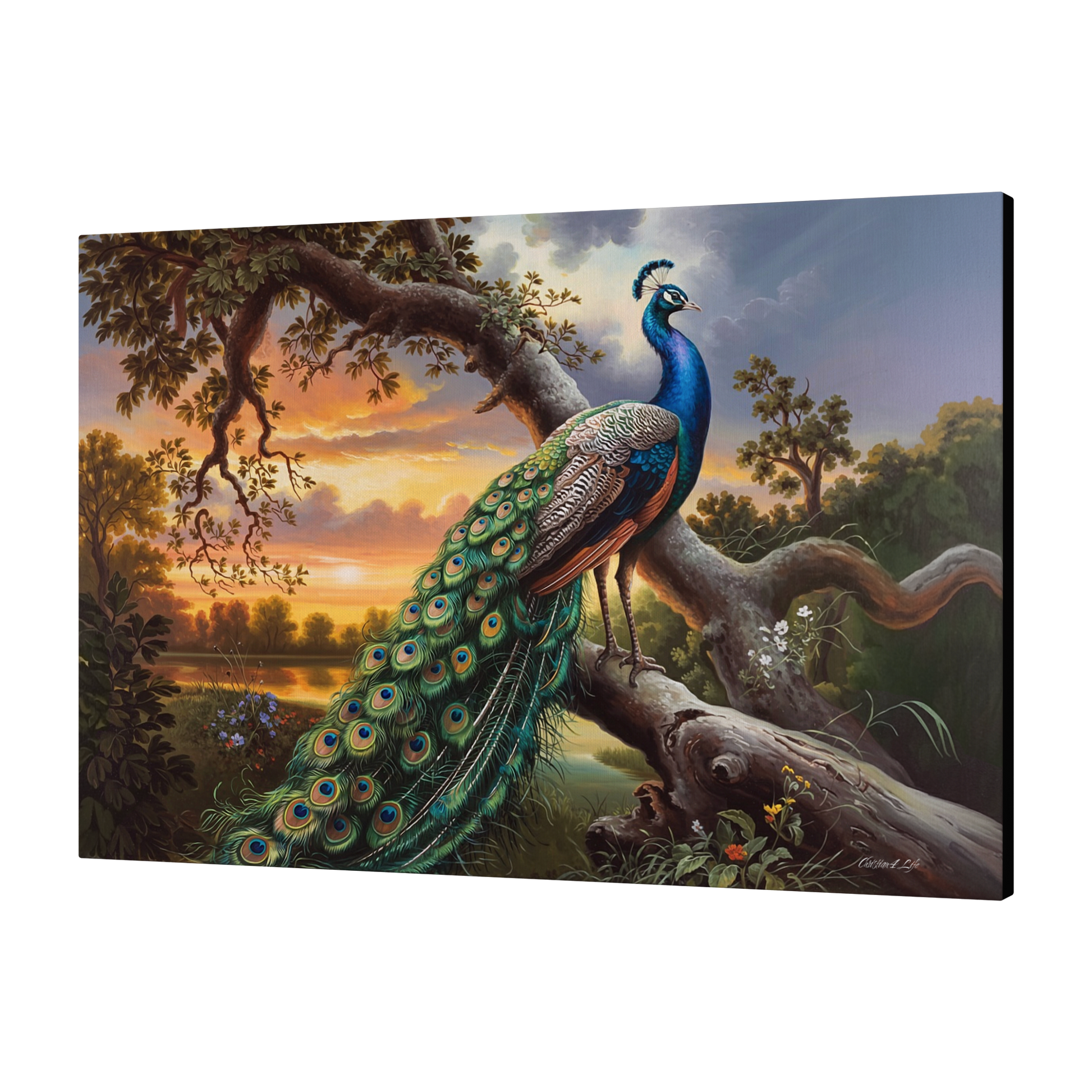 Beautiful_Peacock_canvas_art_print_-_a_c_H_Angle_Mockup.png