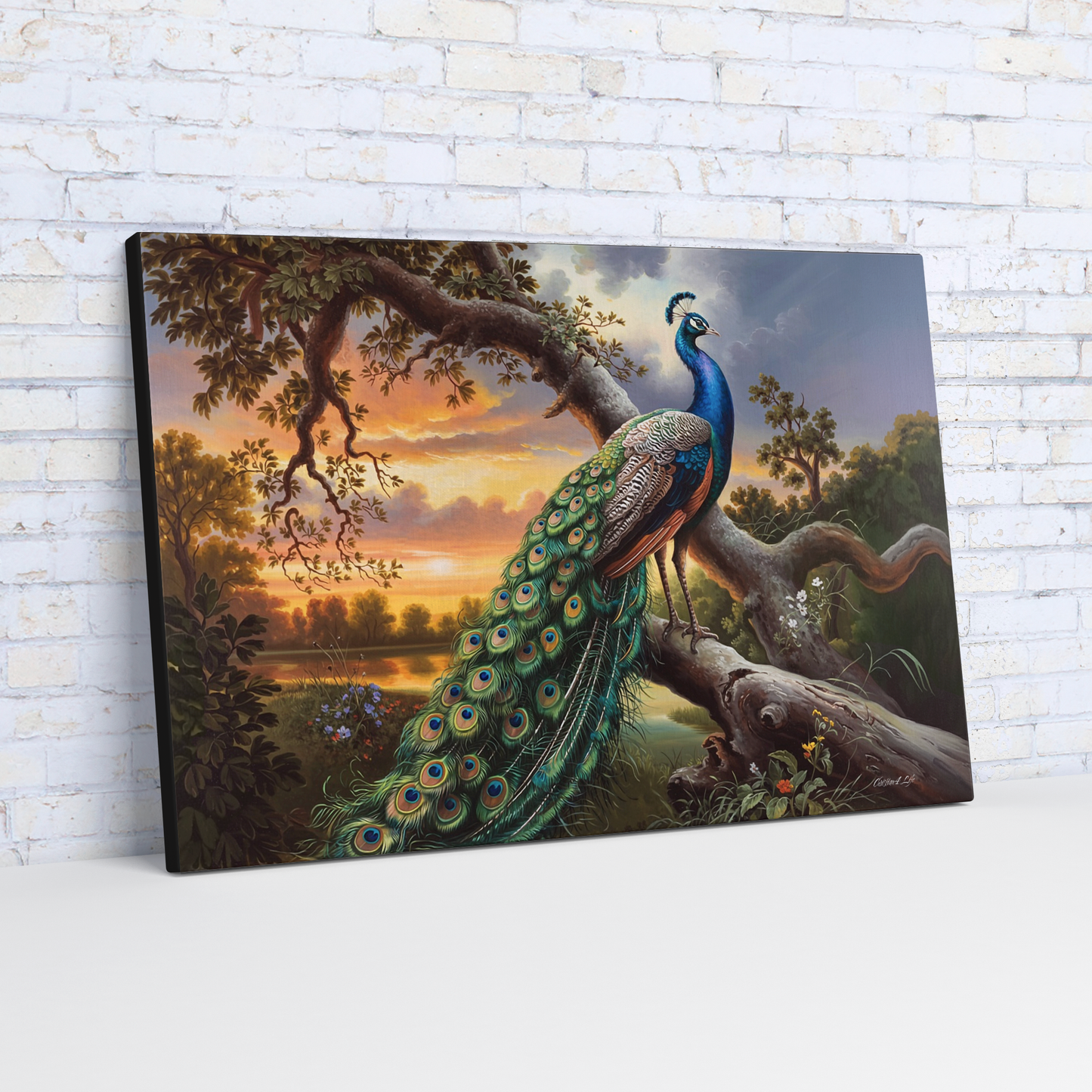 Canvas print of a peacock on a branch with a sunset background against a white brick wall.