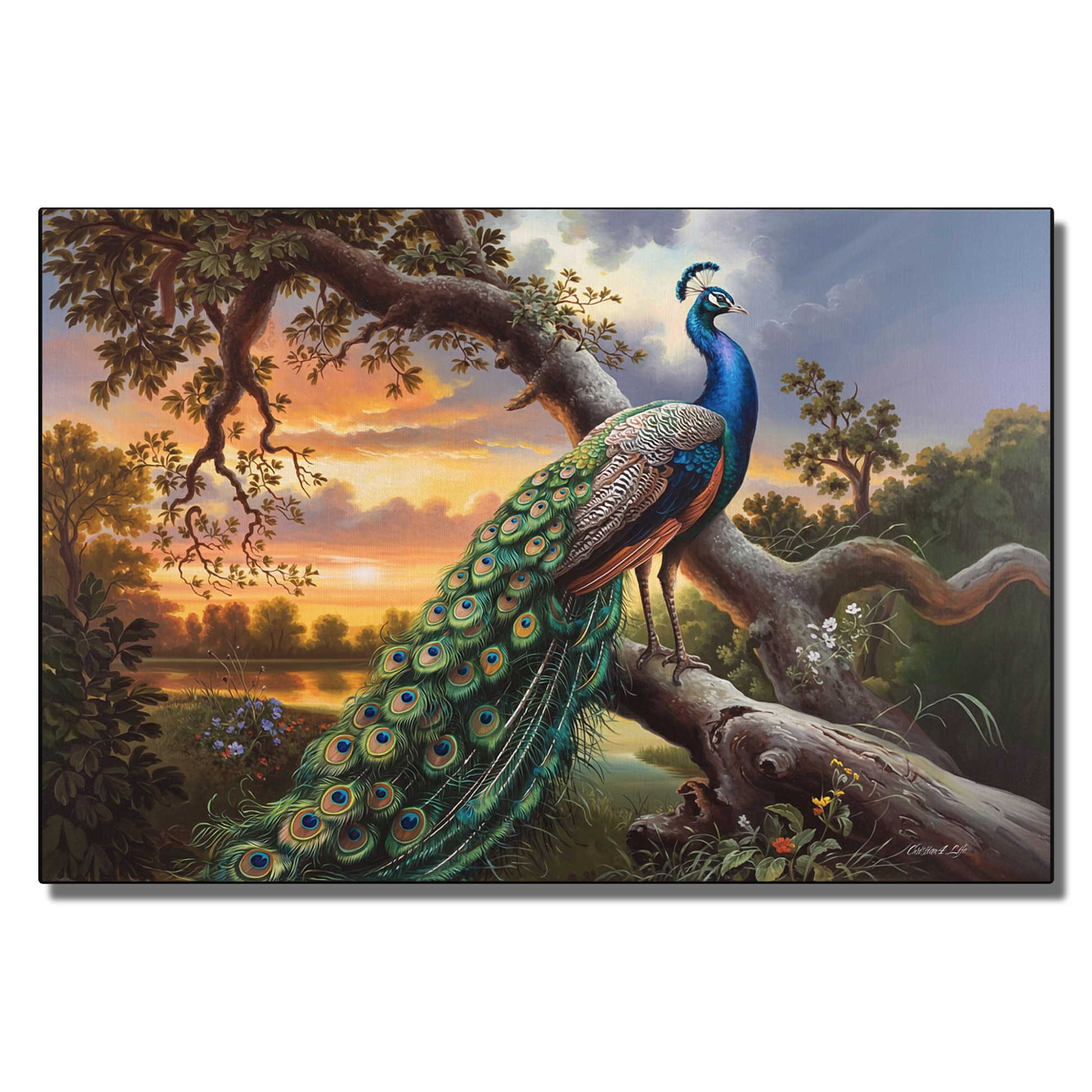 Peacock perched on a branch with a scenic background