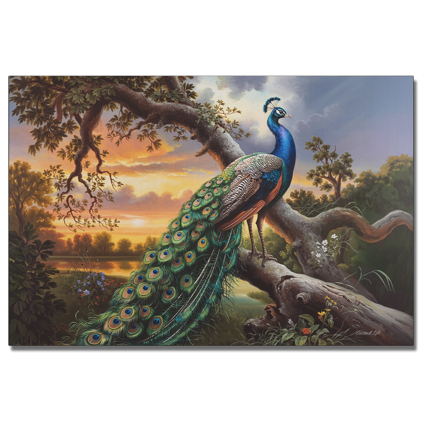 Peacock perched on a branch with a scenic background of trees and sunset.
