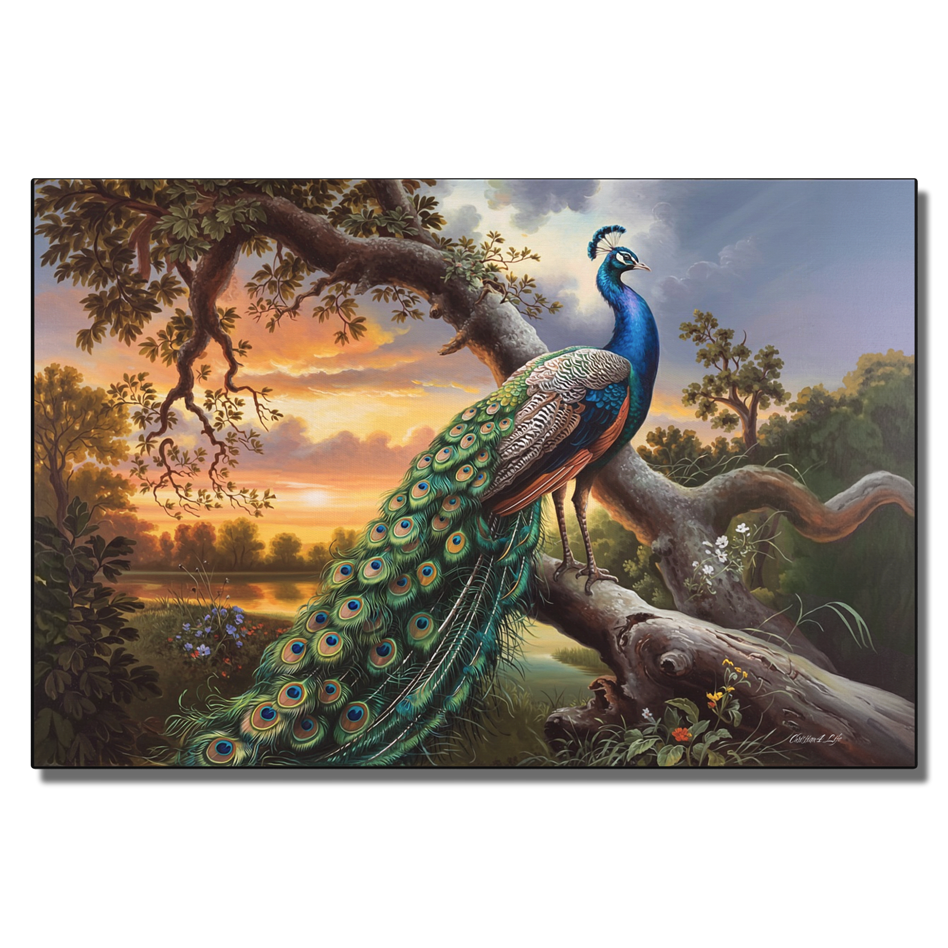 Painting of a peacock perched on a branch with a scenic background