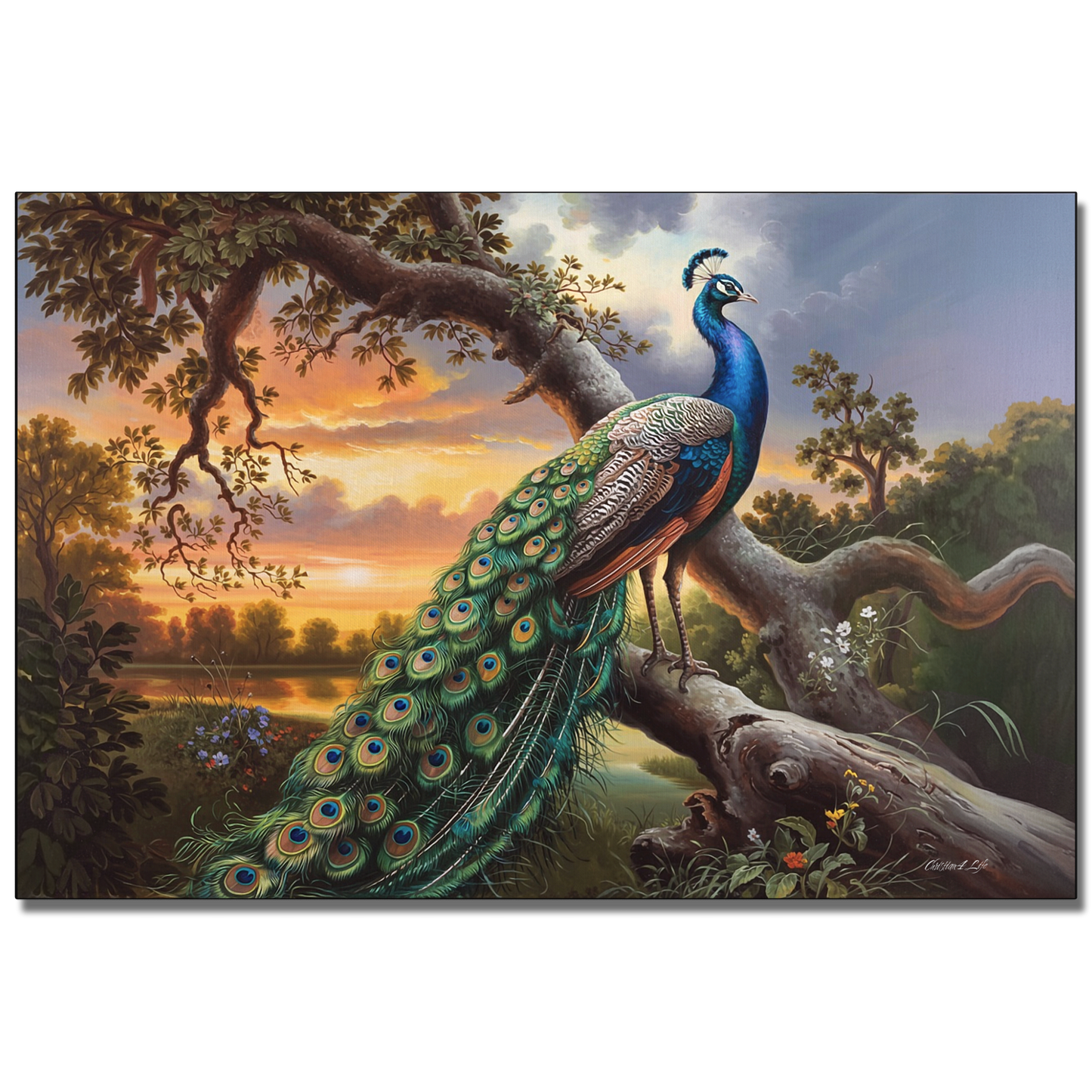 Peacock perched on a tree branch with a scenic background