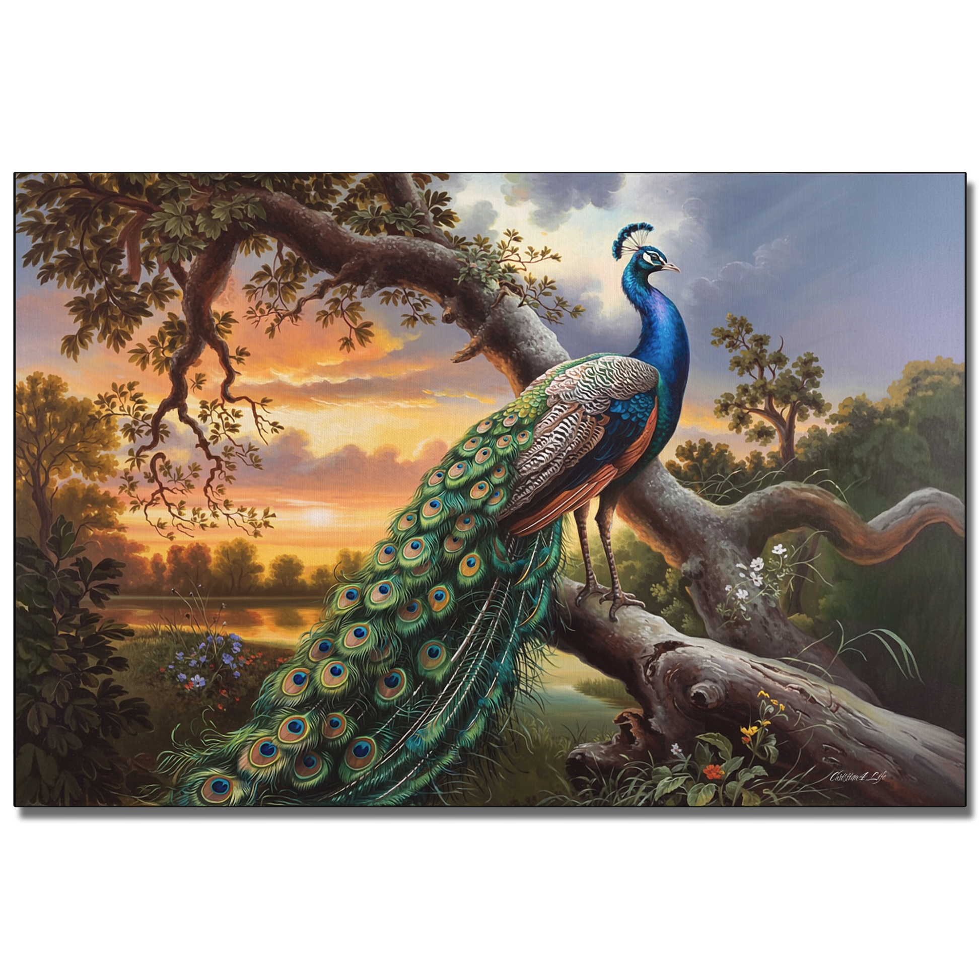 Peacock perched on a tree branch with a scenic background