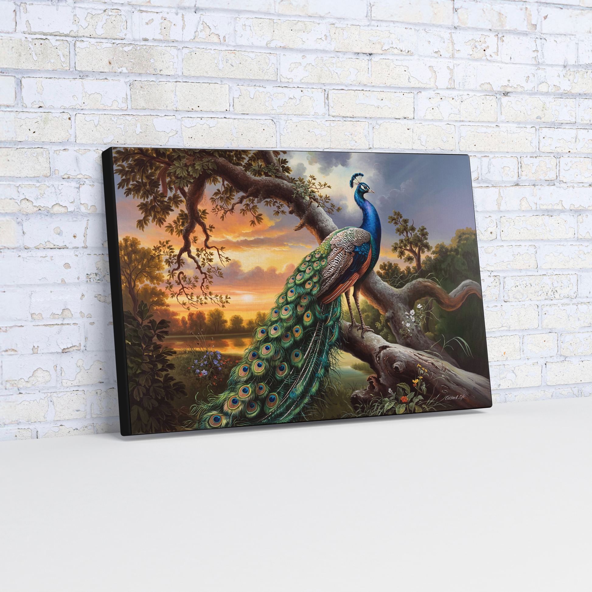 Canvas print of a peacock in a natural setting on a white brick wall.