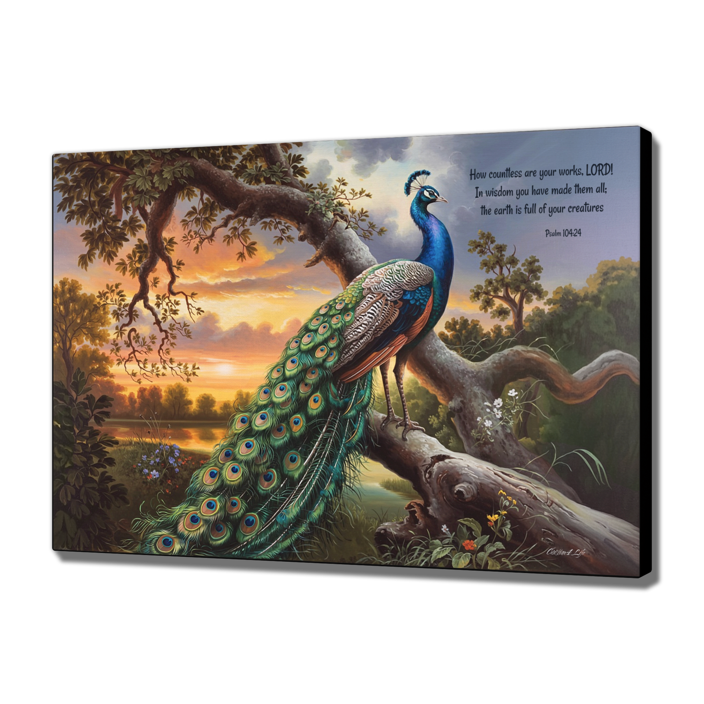 Beautiful Peacock canvas art print - with Psalm 104:24 quote - classic and elegant Peacock art