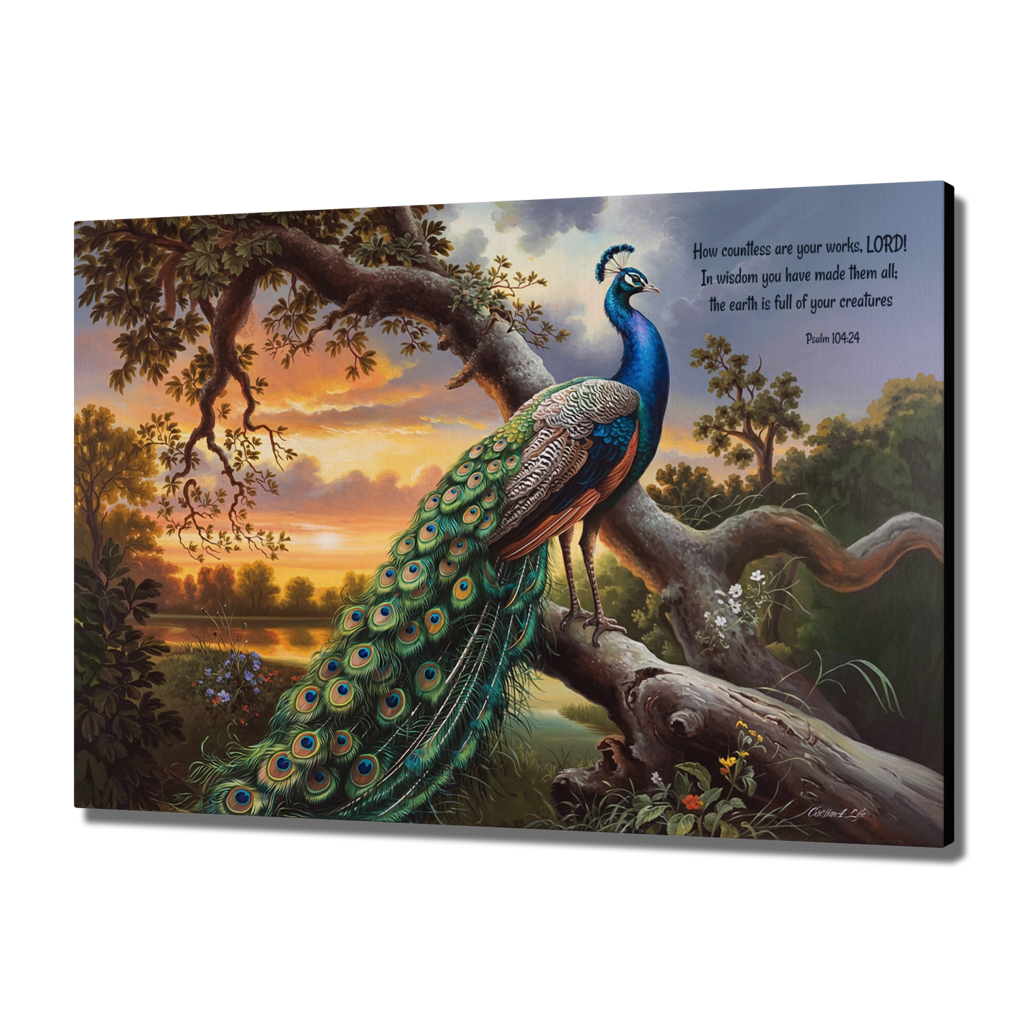 Beautiful Peacock canvas art print - with Psalm 104:24 quote - classic and elegant Peacock art