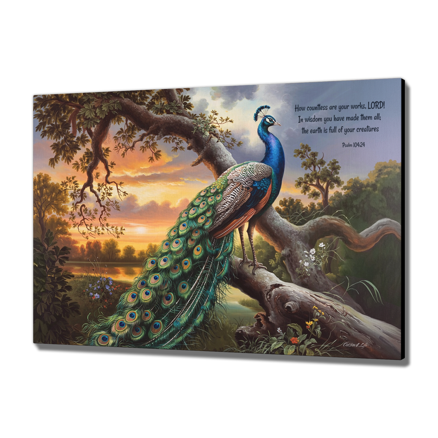 Beautiful Peacock canvas art print - with Psalm 104:24 quote - classic and elegant Peacock art
