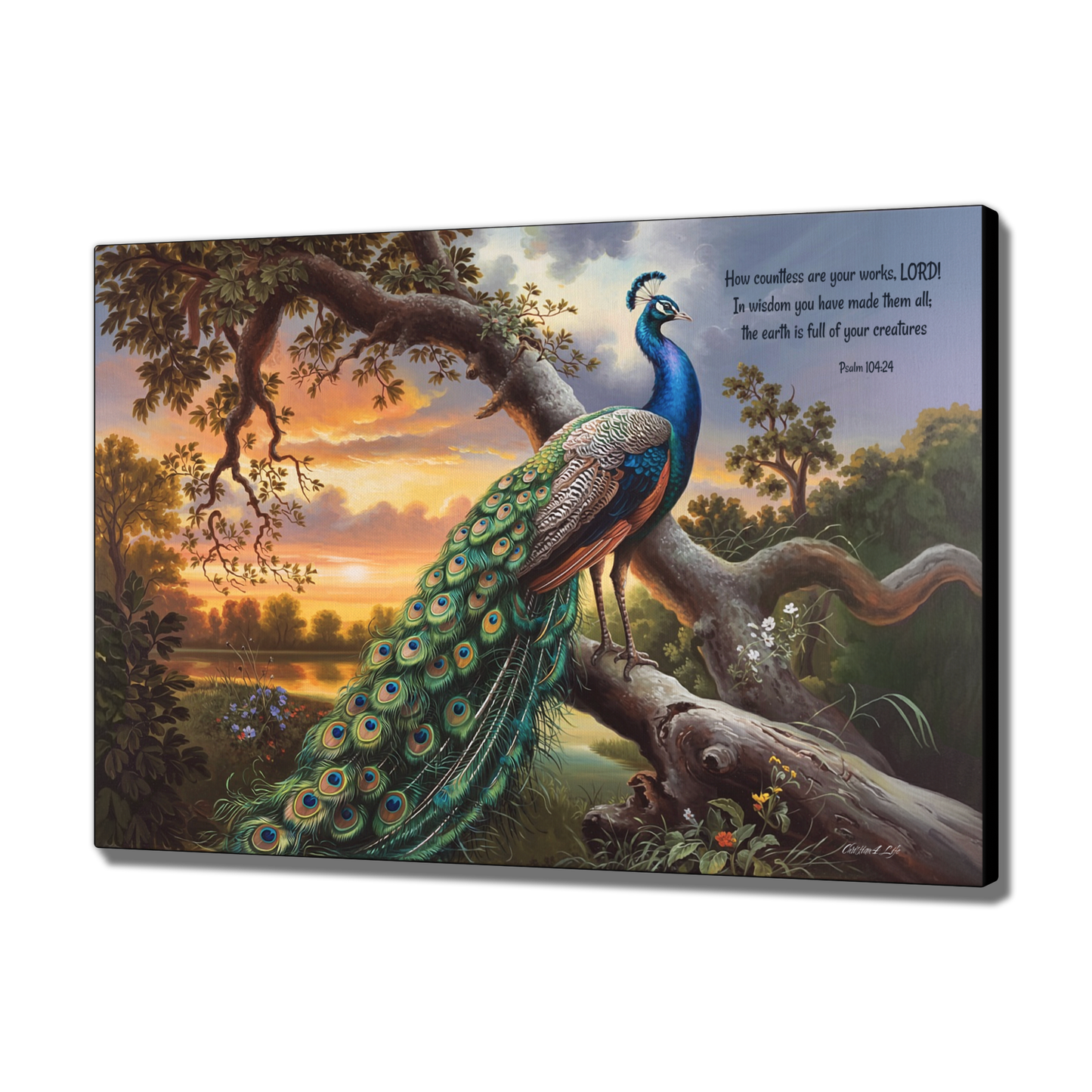 Beautiful Peacock canvas art print - with Psalm 104:24 quote - classic and elegant Peacock art