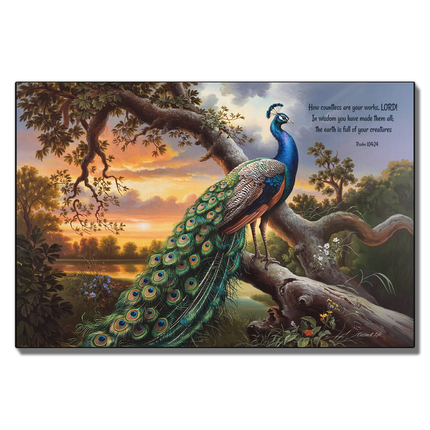 Beautiful Peacock canvas art print - with Psalm 104:24 quote - classic and elegant Peacock art