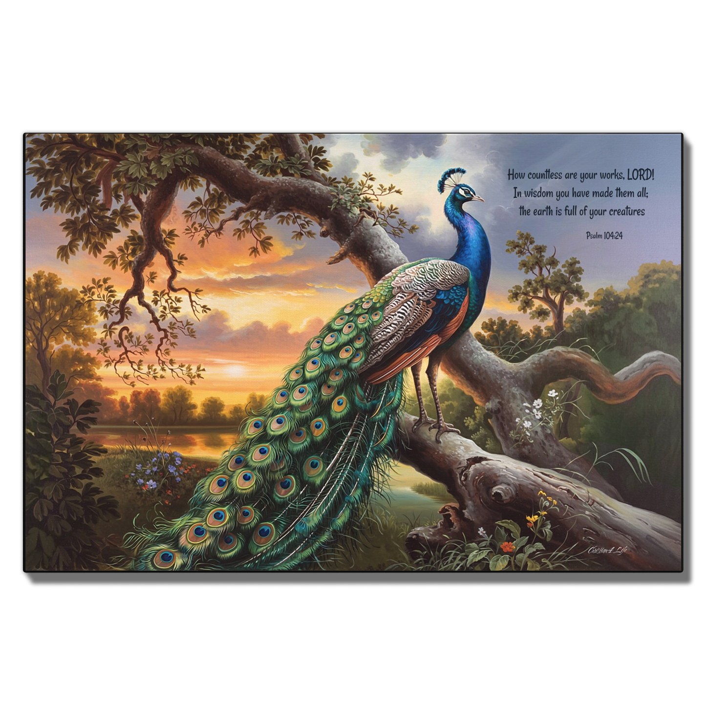 Beautiful Peacock canvas art print - with Psalm 104:24 quote - classic and elegant Peacock art