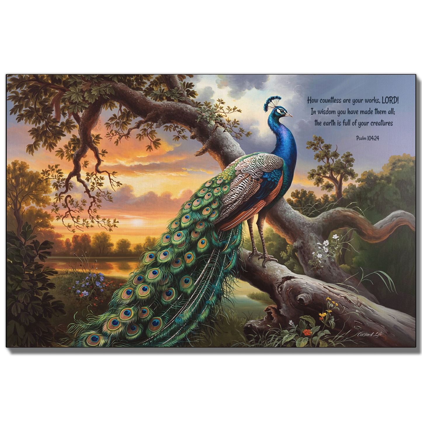 Beautiful Peacock canvas art print - with Psalm 104:24 quote - classic and elegant Peacock art