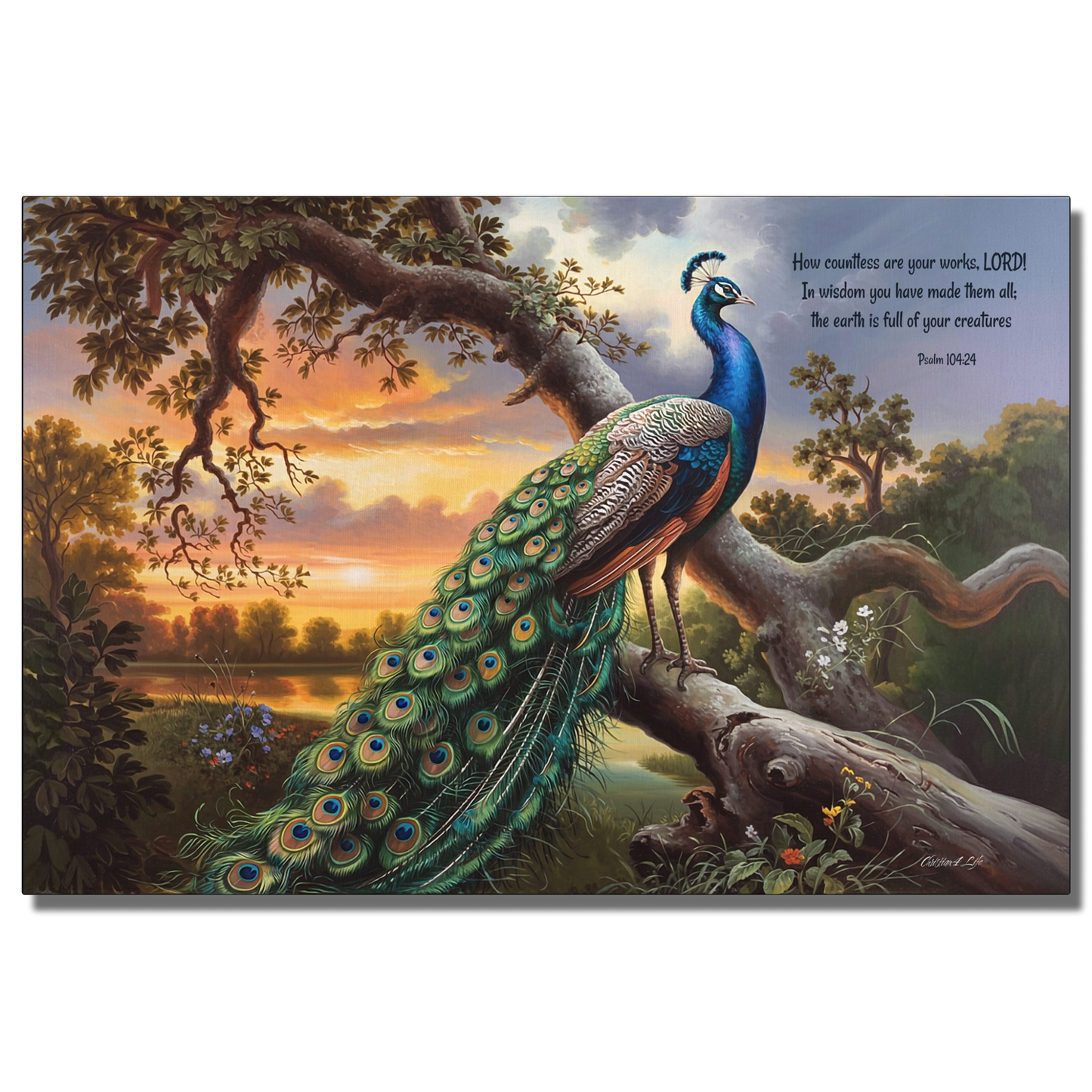 Beautiful Peacock canvas art print - with Psalm 104:24 quote - classic and elegant Peacock art