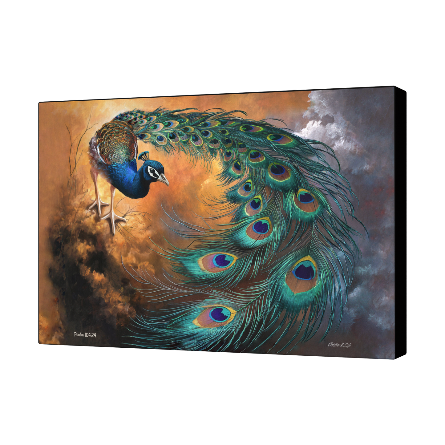 Canvas print of a peacock with vibrant feathers against a dramatic sky background