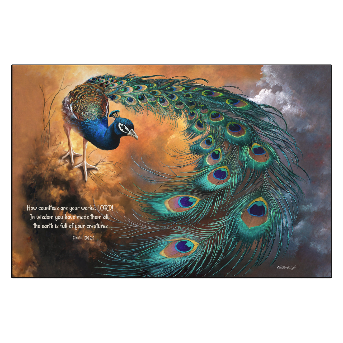 Canvas of Peacock with open tail feathers against a colorful background