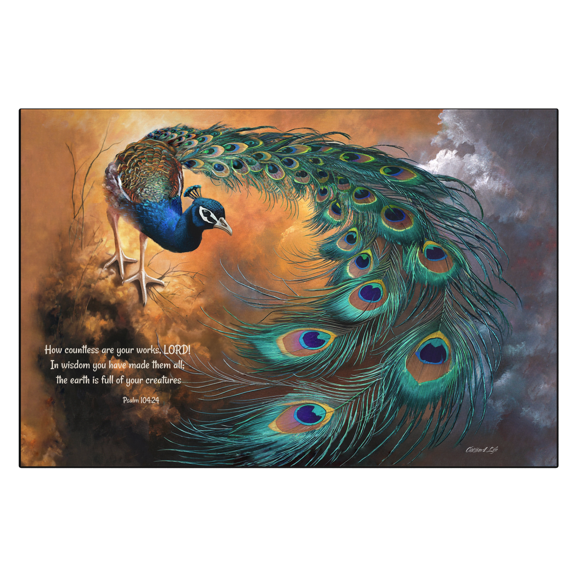 Canvas of Peacock with open tail feathers against a colorful background