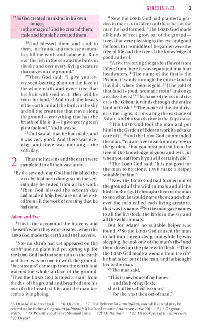 Bible for Teen Girls-NIV: Growing in Faith, Hope, and Love - Hardcover