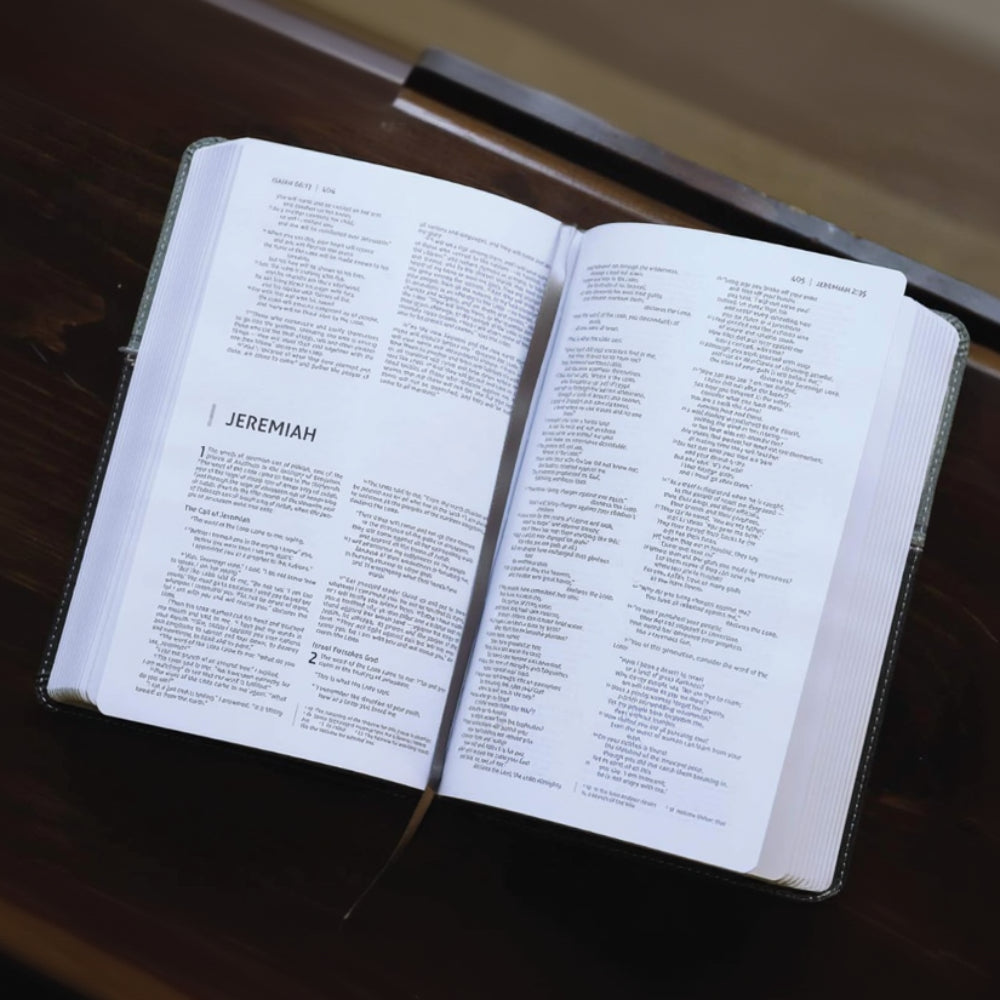 Niv, Premium Gift Bible, Leathersoft, Black/Gray, Red Letter Edition, Comfort Print - Imitation Leather