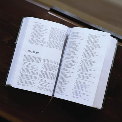 Niv, Premium Gift Bible, Leathersoft, Black/Gray, Red Letter Edition, Comfort Print - Imitation Leather