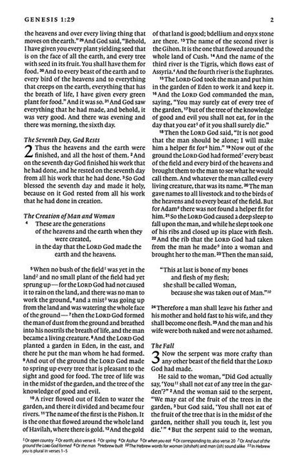 ESV Holy Bible for Kids (Trutone, Berry, the True Vine Design) - Imitation Leather