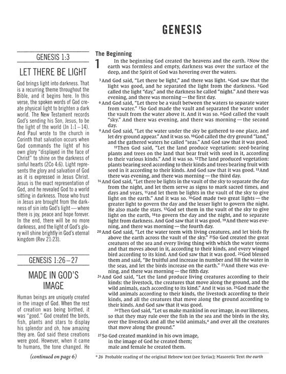 The Jesus Bible, NIV Edition, Cloth Over Board, Gray Linen, Comfort Print - Hardcover