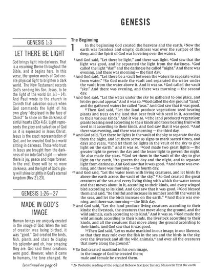 The Jesus Bible, NIV Edition, Cloth Over Board, Gray Linen, Comfort Print - Hardcover