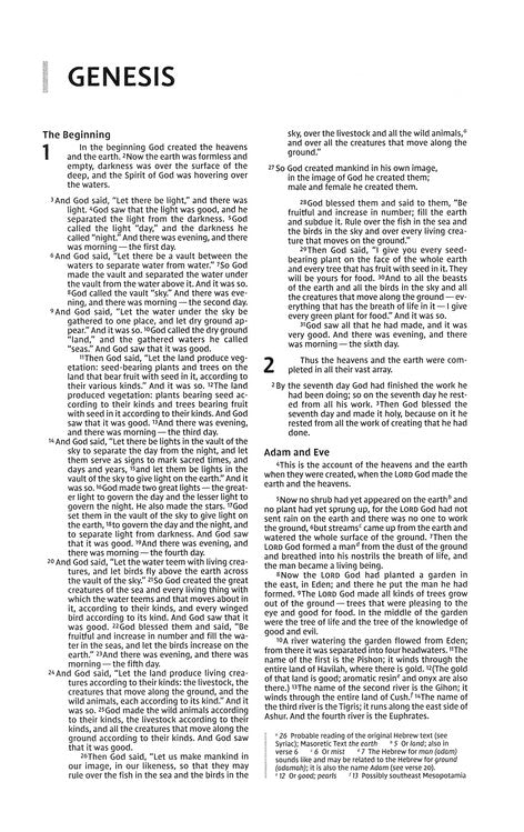 Niv, Premium Gift Bible, Leathersoft, Black/Gray, Red Letter Edition, Comfort Print - Imitation Leather