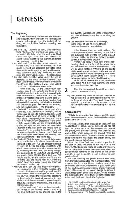 Niv, Premium Gift Bible, Leathersoft, Black/Gray, Red Letter Edition, Comfort Print - Imitation Leather