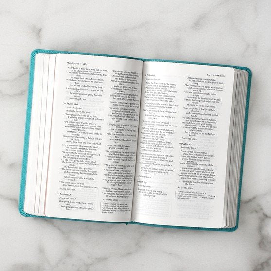 Niv, Busy Mom's Bible, Leathersoft, Teal, Red Letter Edition, Comfort Print: Daily Inspiration Even If You Only Have One Minute - Imitation Leather