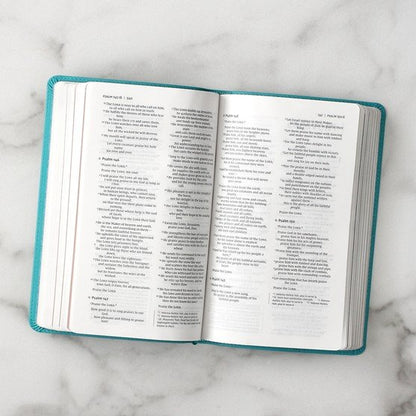 Niv, Busy Mom's Bible, Leathersoft, Teal, Red Letter Edition, Comfort Print: Daily Inspiration Even If You Only Have One Minute - Imitation Leather
