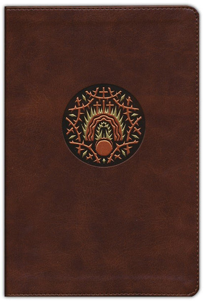 ESV the Biggest Story Holy Bible for Kids (Hardcover) - Hardcover