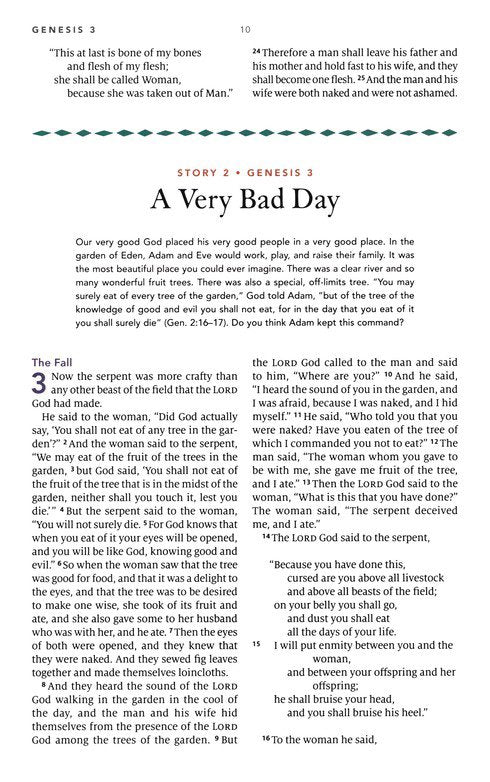 ESV the Biggest Story Holy Bible for Kids (Hardcover) - Hardcover