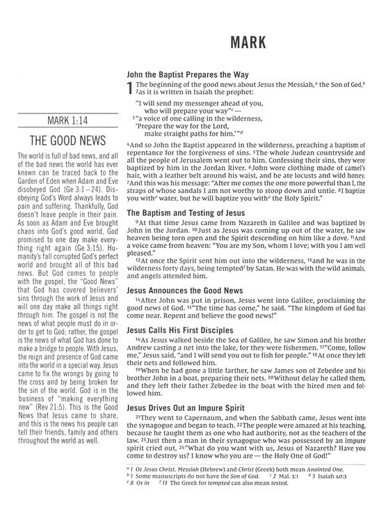 The Jesus Bible, NIV Edition, Cloth Over Board, Gray Linen, Comfort Print - Hardcover