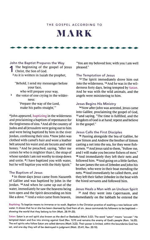 ESV the Biggest Story Holy Bible for Kids (Hardcover) - Hardcover
