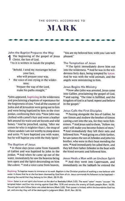 ESV the Biggest Story Holy Bible for Kids (Hardcover) - Hardcover