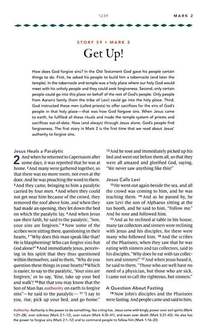 ESV the Biggest Story Holy Bible for Kids (Hardcover) - Hardcover