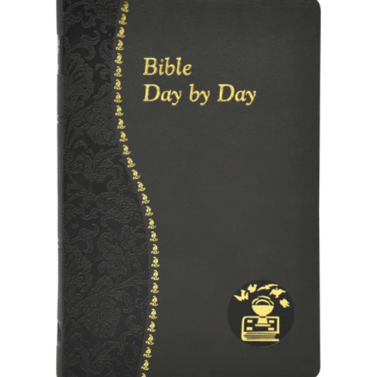 Black notebook with gold text and design, titled 'Bible Day by Day'.