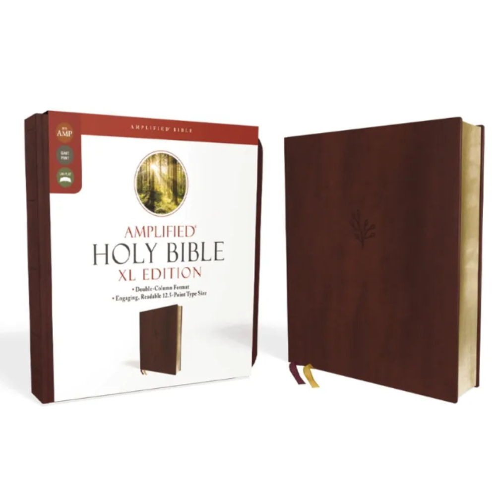 Amplified Holy Bible XL Edition with packaging on a white background