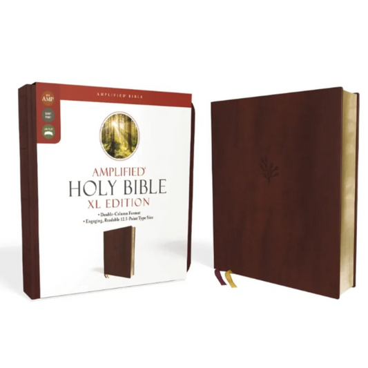 Amplified Holy Bible XL Edition with packaging on a white background
